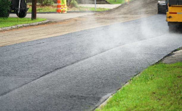 Best Decorative Driveway Pavers  in Level Plains, AL